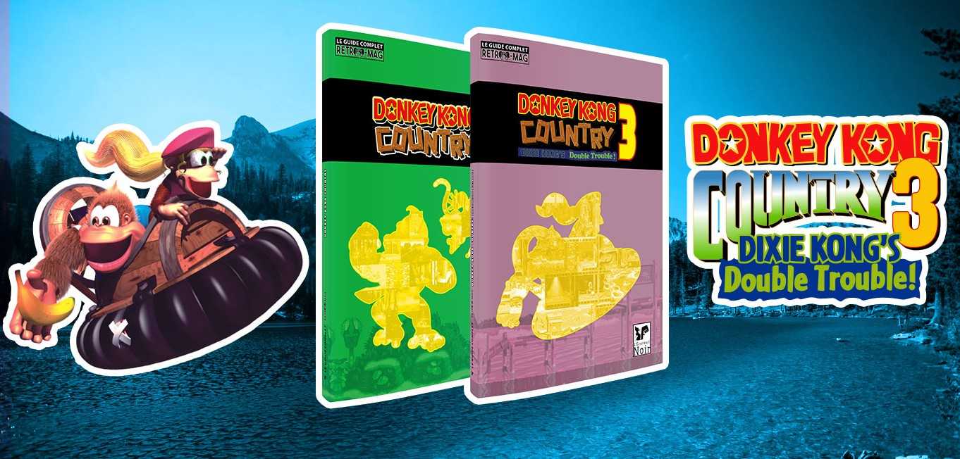 Only 48 hours left to support the complete Donkey Kong Country 3 guide